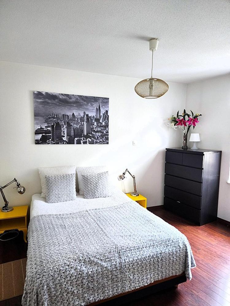 Appartement 3 Pieces, Krutenau, Parking Prive Strasbourg Eksteriør billede
