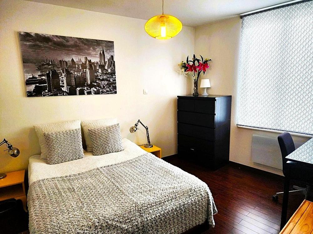 Appartement 3 Pieces, Krutenau, Parking Prive Strasbourg Eksteriør billede