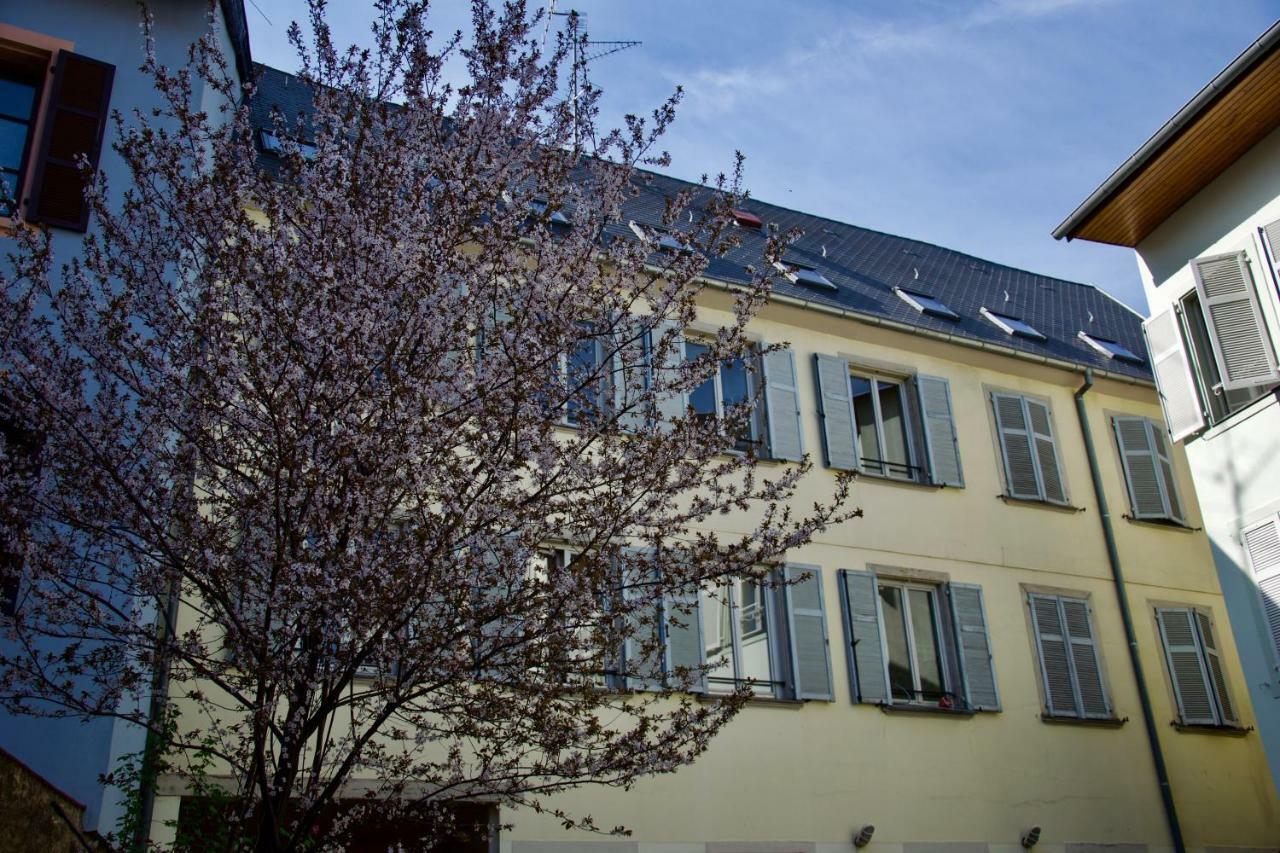 Appartement 3 Pieces, Krutenau, Parking Prive Strasbourg Eksteriør billede