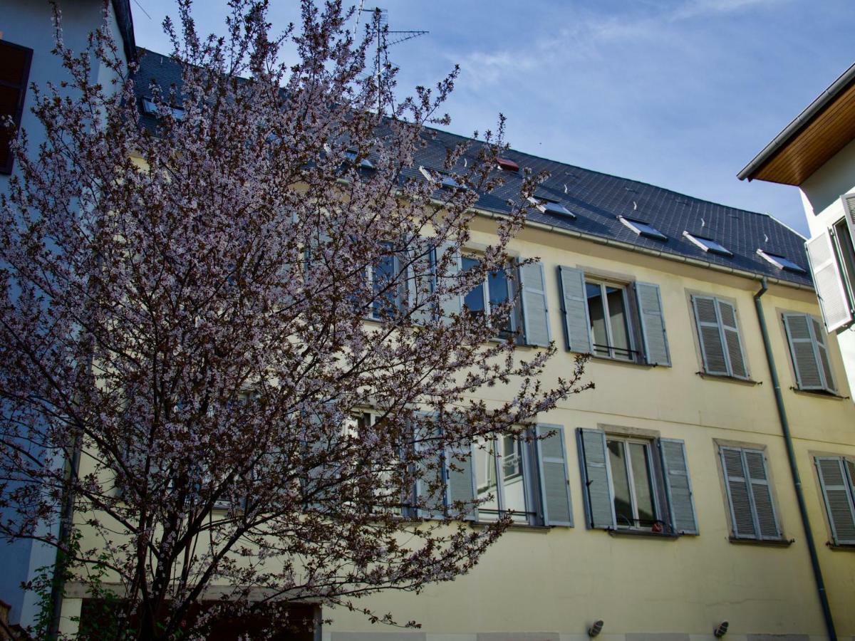 Appartement 3 Pieces, Krutenau, Parking Prive Strasbourg Eksteriør billede